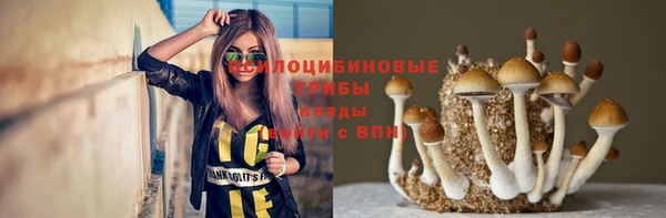 бутират Алзамай