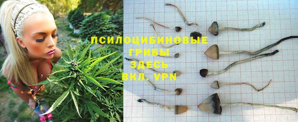кокс Алексеевка