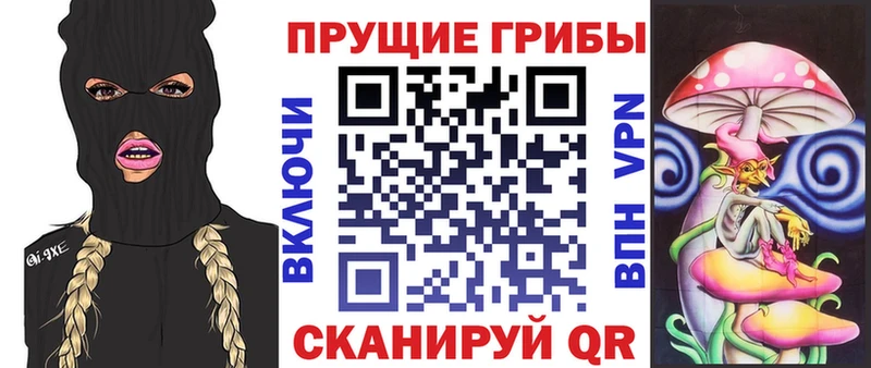 Псилоцибиновые грибы мухоморы Майкоп