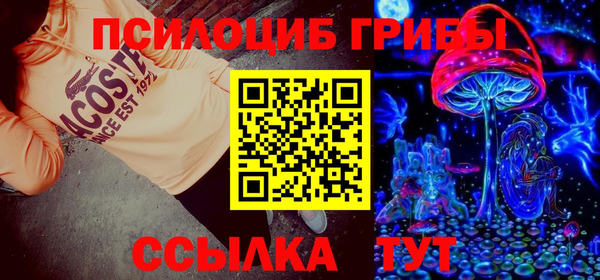 Псилоцибиновые грибы прущие грибы Майкоп