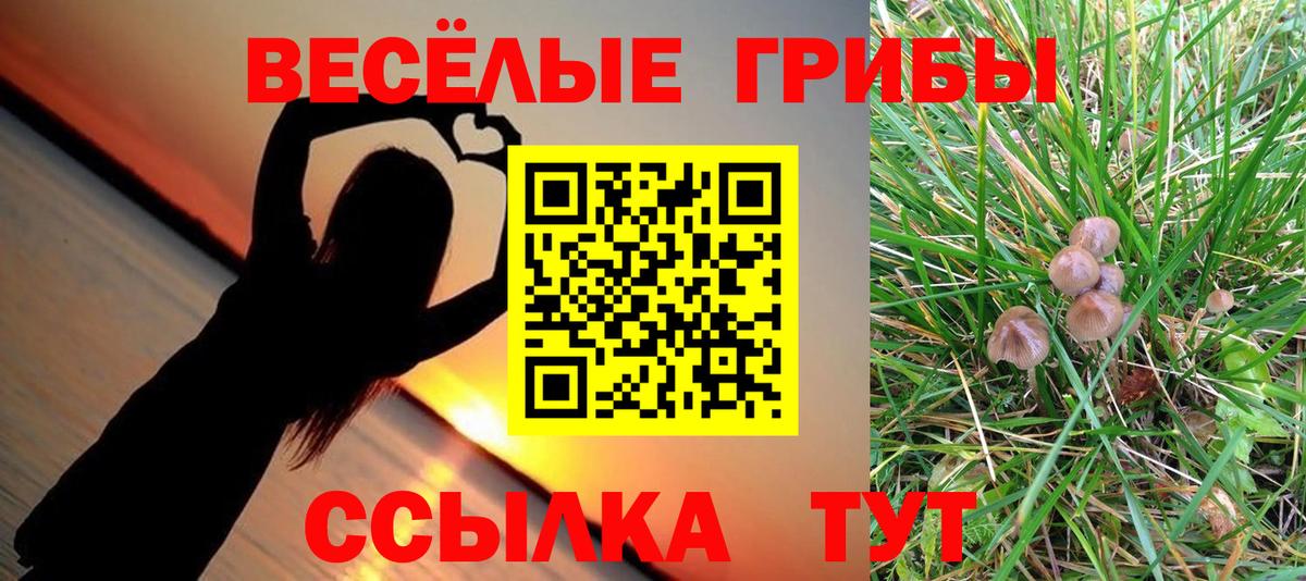 Майкоп  Галлюциногенные грибы Psilocybine cubensis  Вход с VPN  Псилоцибиновые грибы прущие грибы 